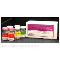 JCCLS CRM-001人多酶标准物质 日本ReCCS